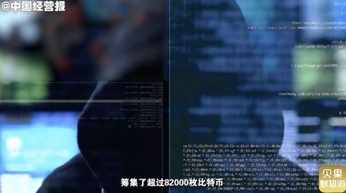 庞氏骗局爆料视频,视频爆料揭示金融骗局内幕